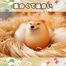 しばこ スクイーズ 2個 眼球がランダム切り替え可能 シバコ たまご 可愛い 面白い スクイーズボール ストレス解消 暇つぶし 軽減 不安減圧グッズ 柔らかい 弾性 触感良い 握るおもちゃ 感覚子供 大人兼用 (柴犬 卵 2点)