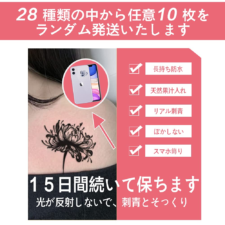 HENGFANG タトゥーシール 10枚セット 果汁入り ヘナタトゥー ジャグアタトゥー 2週間 消えない インクボックス 薔薇 蝶 長持ち 防水 韓国 おしゃれ たとぅーしーる(果汁B 15*10cm)